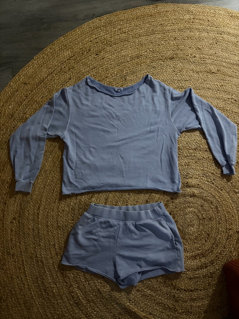 aerie Light Blue Women's Long Sleeve Top & Shorts Pajama Set